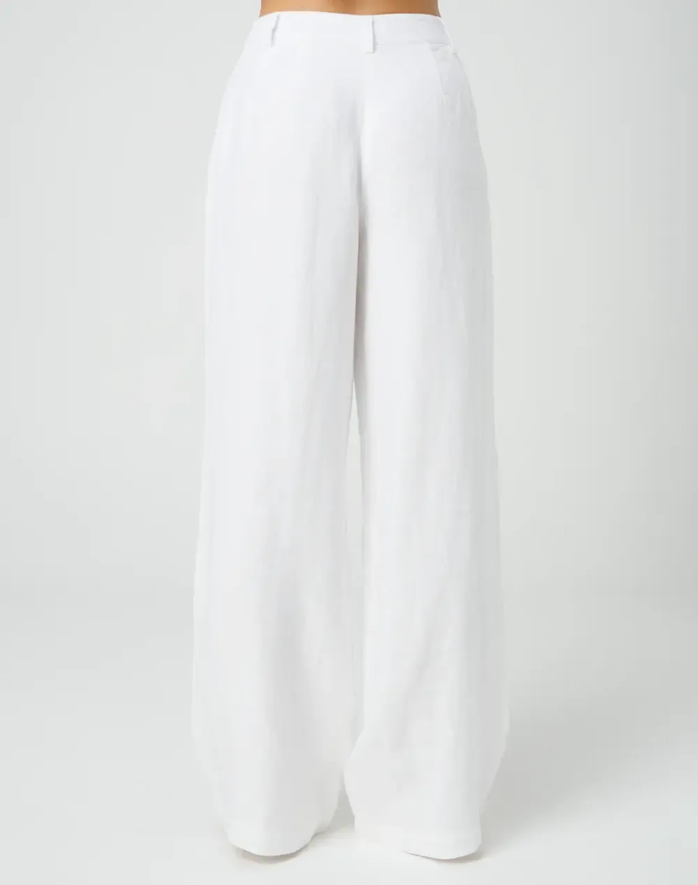 Linen Pleat Wide Leg Pant