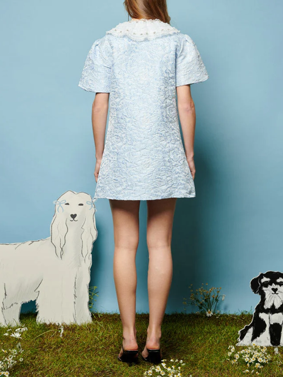 Squirrel Jacquard Mini Dress