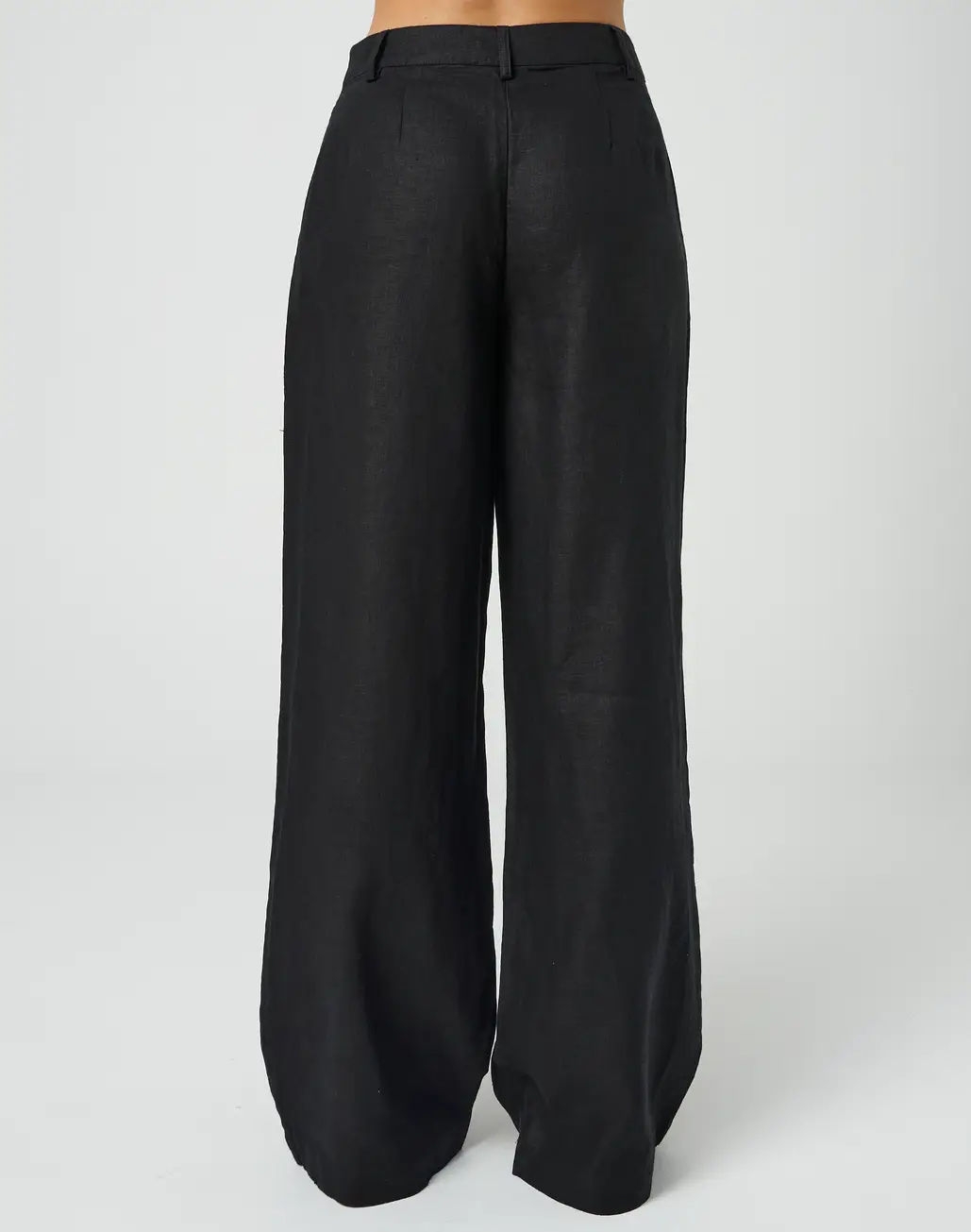 Linen Pleat Wide Leg Pant