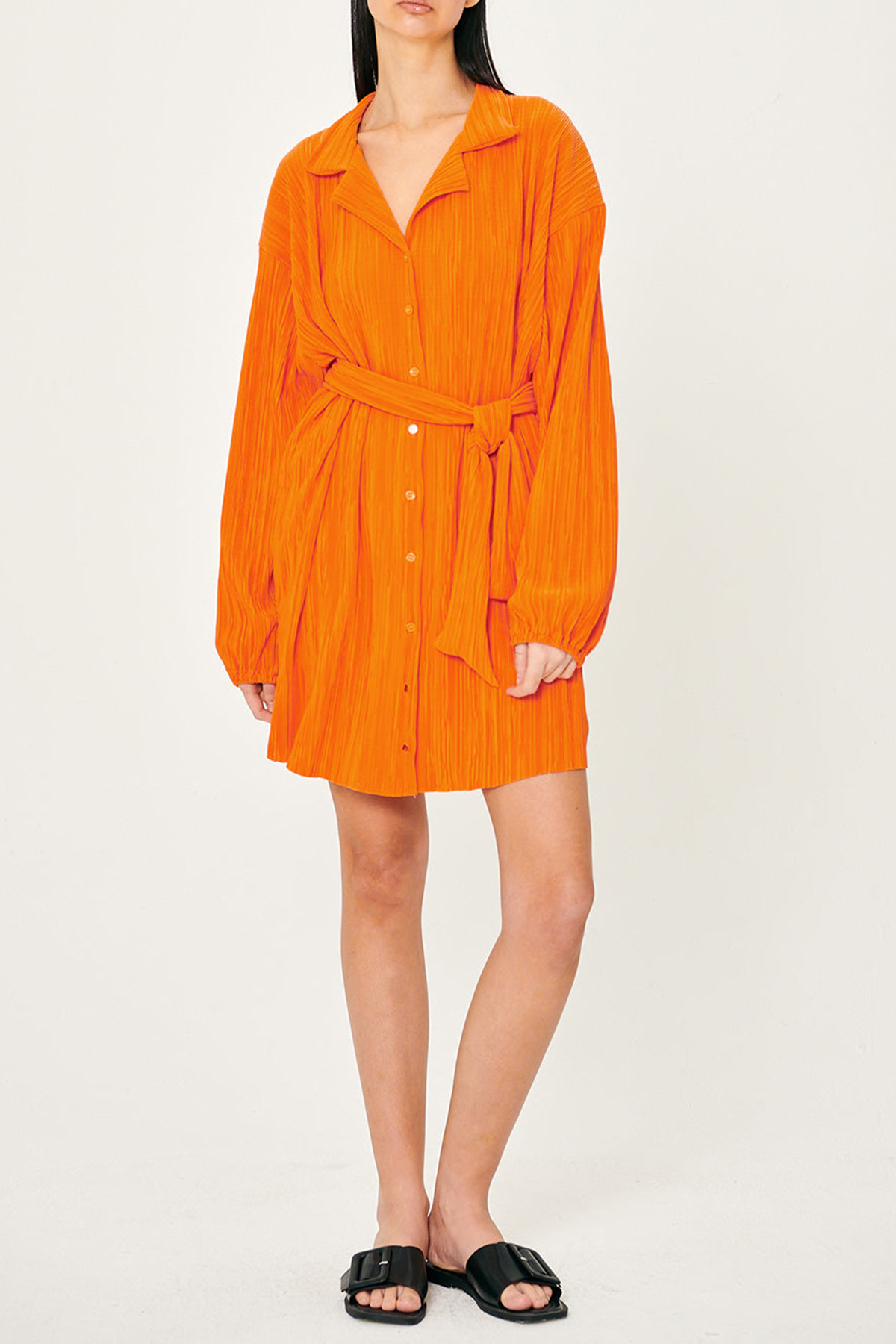 Sandra Plisse Shirt Dress